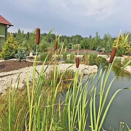Апартаменты View At Golf Kuneticka Hora, Dritec Bukovina